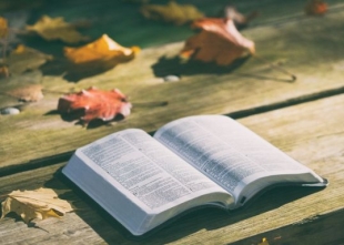 Permanecer en Cristo, la clave de una vida plena